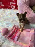 processed/6e13f286-297e-4b86-9a4d-163c6cfa3c6d/facility/1d212db8-a359-45c3-8500-e85aaec94f39