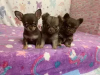 processed/6e13f286-297e-4b86-9a4d-163c6cfa3c6d/facility/44f5cd53-4403-4322-ac7c-f1c37214000c