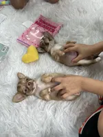 processed/6e13f286-297e-4b86-9a4d-163c6cfa3c6d/facility/9cbc449f-0ae7-4d8e-ae8e-19a2c5048ed3