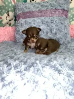 processed/6e13f286-297e-4b86-9a4d-163c6cfa3c6d/facility/eb13b192-0c2a-4a56-b6fd-096a89127528