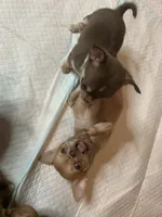 processed/6e13f286-297e-4b86-9a4d-163c6cfa3c6d/facility/fbd33200-7cff-4e9e-afbf-79e2751c9886