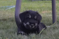 processed/6e18acbb-f145-4c4c-97c4-a176d1984575/facility/029cfa5b-5937-48da-aecb-456f062abf33