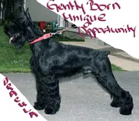 processed/6e18acbb-f145-4c4c-97c4-a176d1984575/facility/06b158d8-b59e-41d2-be69-f115ba25ba76