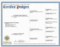 processed/6e18acbb-f145-4c4c-97c4-a176d1984575/facility/7c86506d-8d10-4c83-92e5-9d7873e52ea1