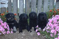 processed/6e18acbb-f145-4c4c-97c4-a176d1984575/facility/abd6f8be-03e9-4cd2-845d-a85230318fe8