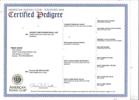 processed/6e18acbb-f145-4c4c-97c4-a176d1984575/facility/b0ac20b2-9e0a-472c-a83d-e9ecc7e90f55