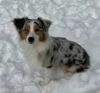 processed/6e1e8de2-8f2f-49ca-af16-6323e2fd620d/listing/c695ed65-ed03-4c33-bd21-e644d09b70c2/9d37c78c-12dc-4f0c-8a98-e16d7efe8c8f