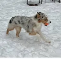 processed/6e1e8de2-8f2f-49ca-af16-6323e2fd620d/listing/c695ed65-ed03-4c33-bd21-e644d09b70c2/a74f40db-387d-4305-b172-efc98503a50b