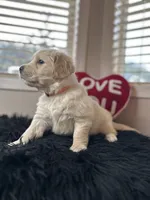 processed/6e208c5d-1832-4807-a833-5cb9f7861bd1/listing/31af1ef4-610a-4195-a326-e3aaeb6e8ccf/0666b84b-9e42-46d4-a88e-76d88fbf0d57