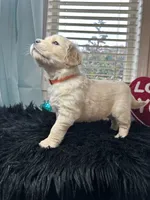 processed/6e208c5d-1832-4807-a833-5cb9f7861bd1/listing/31af1ef4-610a-4195-a326-e3aaeb6e8ccf/35a5d076-b9fb-4783-8b07-a1517039fa80