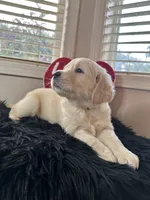 processed/6e208c5d-1832-4807-a833-5cb9f7861bd1/listing/c335c8d1-5fe1-4d00-97f1-d03fe4ec800b/b8885b79-ca66-4d13-b669-cc24bb3f4ae1