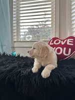 processed/6e208c5d-1832-4807-a833-5cb9f7861bd1/listing/c335c8d1-5fe1-4d00-97f1-d03fe4ec800b/dcb5c185-8bc4-466e-95be-462fd06ab009