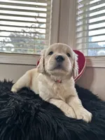 processed/6e208c5d-1832-4807-a833-5cb9f7861bd1/listing/c335c8d1-5fe1-4d00-97f1-d03fe4ec800b/e957cadd-7896-4012-ba53-c8f2ba61af8f