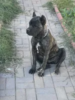 processed/6e23d80b-d445-4917-b640-fa66ca1204be/listing/2ebd101e-246d-43ab-bf04-6a08adb39236/5fd53a12-7471-400a-99b5-4e70844dafd7