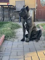 processed/6e23d80b-d445-4917-b640-fa66ca1204be/listing/2ebd101e-246d-43ab-bf04-6a08adb39236/a64253e2-564b-422b-baa8-07d46f924f02