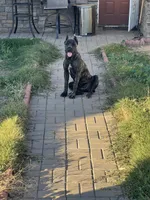 processed/6e23d80b-d445-4917-b640-fa66ca1204be/listing/2ebd101e-246d-43ab-bf04-6a08adb39236/bc2fb52a-f863-49b7-a7ae-876d9aab3a85