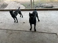 processed/6e23d80b-d445-4917-b640-fa66ca1204be/listing/2ebd101e-246d-43ab-bf04-6a08adb39236/c9c014da-f827-4e4e-894e-c90d29f051a7