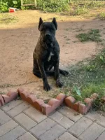 processed/6e23d80b-d445-4917-b640-fa66ca1204be/listing/2ebd101e-246d-43ab-bf04-6a08adb39236/d9015668-5505-4148-a087-368eb95e5c44