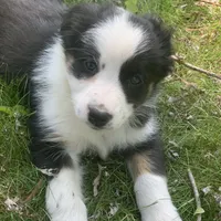 processed/6e2650b2-6121-4947-b16c-ba78891e8d15/facility/2c3f0b3a-a48a-4e82-8536-17fa756c8fb2