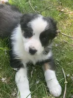 processed/6e2650b2-6121-4947-b16c-ba78891e8d15/facility/2c3f0b3a-a48a-4e82-8536-17fa756c8fb2