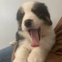 processed/6e2650b2-6121-4947-b16c-ba78891e8d15/facility/37689c95-4af6-4e20-9c8e-d19651abc354