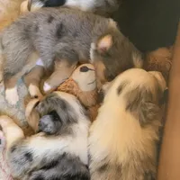 processed/6e2650b2-6121-4947-b16c-ba78891e8d15/facility/5e6d2371-0af8-48fc-b16d-0303991ee2af