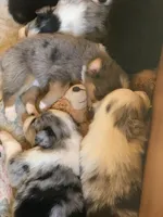 processed/6e2650b2-6121-4947-b16c-ba78891e8d15/facility/5e6d2371-0af8-48fc-b16d-0303991ee2af