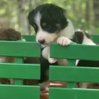 processed/6e2650b2-6121-4947-b16c-ba78891e8d15/facility/6371f94f-a5d2-4c7f-bfb8-2797e1f9a8b7