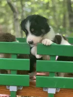 processed/6e2650b2-6121-4947-b16c-ba78891e8d15/facility/6371f94f-a5d2-4c7f-bfb8-2797e1f9a8b7