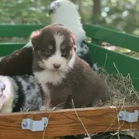 processed/6e2650b2-6121-4947-b16c-ba78891e8d15/facility/65dc013a-82f0-449e-a765-ca8ee166d611