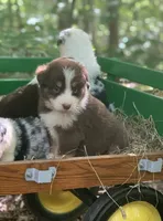 processed/6e2650b2-6121-4947-b16c-ba78891e8d15/facility/65dc013a-82f0-449e-a765-ca8ee166d611