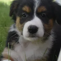 processed/6e2650b2-6121-4947-b16c-ba78891e8d15/facility/83b74dff-bb8d-4b8f-8402-dc15fb78ba47