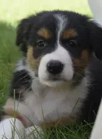 processed/6e2650b2-6121-4947-b16c-ba78891e8d15/facility/83b74dff-bb8d-4b8f-8402-dc15fb78ba47