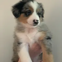 processed/6e2650b2-6121-4947-b16c-ba78891e8d15/facility/9046a21c-1478-4f6e-86ac-f6b275d37cd4