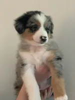 processed/6e2650b2-6121-4947-b16c-ba78891e8d15/facility/9046a21c-1478-4f6e-86ac-f6b275d37cd4