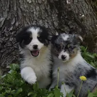 processed/6e2650b2-6121-4947-b16c-ba78891e8d15/facility/9b0fc78f-4436-44d8-81dd-93ce43f224c6