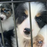 processed/6e2650b2-6121-4947-b16c-ba78891e8d15/facility/f0c12f73-5332-4842-a289-7af35cda9658