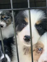 processed/6e2650b2-6121-4947-b16c-ba78891e8d15/facility/f0c12f73-5332-4842-a289-7af35cda9658