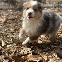 processed/6e2650b2-6121-4947-b16c-ba78891e8d15/facility/fdcc8b80-36c6-4735-bc5e-04acff4a1719