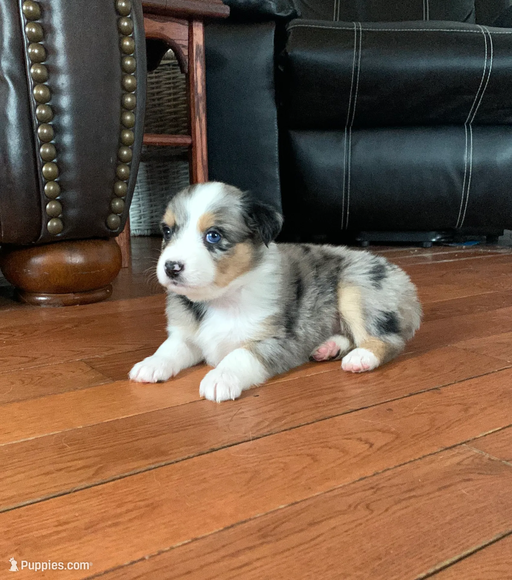 processed/6e2650b2-6121-4947-b16c-ba78891e8d15/listing/12dbcbf1-9905-4eaa-a861-81b803a46292/319217c8-00a0-4911-ac8b-8eaf7cea4dab