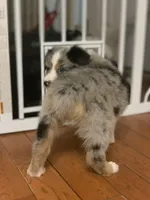 processed/6e2650b2-6121-4947-b16c-ba78891e8d15/listing/12dbcbf1-9905-4eaa-a861-81b803a46292/60648ee1-403d-41c7-b90a-8cf7216bd306