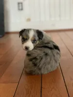 processed/6e2650b2-6121-4947-b16c-ba78891e8d15/listing/12dbcbf1-9905-4eaa-a861-81b803a46292/e8bd4dfc-248c-452d-894e-73ee4903d06e