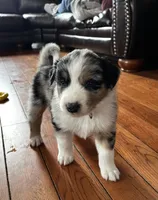 processed/6e2650b2-6121-4947-b16c-ba78891e8d15/listing/a9362b21-702b-46bb-9ab5-b2e3bba28120/4bc1cedb-1980-4a1d-9ef2-f55fc895b6cf