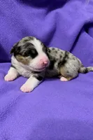 processed/6e2650b2-6121-4947-b16c-ba78891e8d15/listing/a9362b21-702b-46bb-9ab5-b2e3bba28120/e0cb2989-2af7-492a-8c10-f96bb2489f78