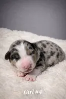 processed/6e2650b2-6121-4947-b16c-ba78891e8d15/listing/a9362b21-702b-46bb-9ab5-b2e3bba28120/e11abb9b-c127-4b35-963c-3fe18d1fbcb1