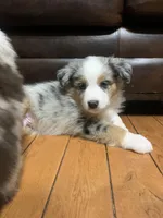 processed/6e2650b2-6121-4947-b16c-ba78891e8d15/listing/c4e6e0a7-83b5-4f1a-8784-f03a3a1f9175/49f4b45d-ee02-4262-be48-7f4cabb3d5b5