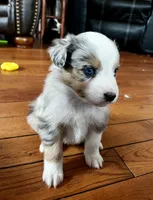 processed/6e2650b2-6121-4947-b16c-ba78891e8d15/listing/c4e6e0a7-83b5-4f1a-8784-f03a3a1f9175/da513e73-5c75-45d2-8934-014bc97076c1