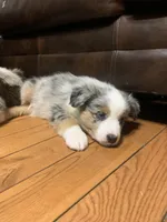 processed/6e2650b2-6121-4947-b16c-ba78891e8d15/listing/c4e6e0a7-83b5-4f1a-8784-f03a3a1f9175/e57808a5-e5b8-405c-aadf-861e4e8133c4