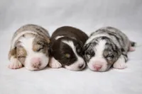 processed/6e2650b2-6121-4947-b16c-ba78891e8d15/listing/c4e6e0a7-83b5-4f1a-8784-f03a3a1f9175/f6e53ed2-8be0-4d50-954d-b5b4430a63f1