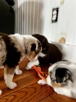 processed/6e2650b2-6121-4947-b16c-ba78891e8d15/listing/c4e6e0a7-83b5-4f1a-8784-f03a3a1f9175/ffe03ad9-86db-4fc4-b99b-ab24ecebef44